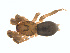  ( - BIOUG01635-G04)  @12 [ ] Copyright  G. Blagoev 2011 Unspecified