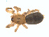  ( - BIOUG01635-G10)  @12 [ ] Copyright  G. Blagoev 2011 Unspecified