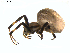 ( - BIOUG00890-C01)  @13 [ ] Copyright  G. Blagoev 2011 Unspecified