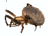  ( - BIOUG00890-C02)  @14 [ ] Copyright  G. Blagoev 2011 Unspecified