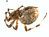  ( - BIOUG00890-C03)  @13 [ ] Copyright  G. Blagoev 2011 Unspecified