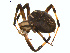  ( - BIOUG00890-C04)  @14 [ ] Copyright  G. Blagoev 2011 Unspecified