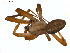  ( - BIOUG00890-C08)  @13 [ ] Copyright  G. Blagoev 2011 Unspecified