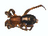  ( - BIOUG00890-G08)  @13 [ ] Copyright  G. Blagoev 2011 Unspecified