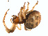  ( - BIOUG01961-B08)  @13 [ ] Copyright  G. Blagoev 2012 Unspecified
