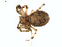  ( - BIOUG01961-B12)  @13 [ ] Copyright  G. Blagoev 2012 Unspecified