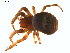  ( - BIOUG01961-C10)  @14 [ ] Copyright  G. Blagoev 2012 Unspecified