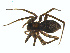  ( - BIOUG01961-E12)  @12 [ ] Copyright  G. Blagoev 2012 Unspecified