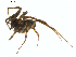  ( - BIOUG01961-F01)  @12 [ ] Copyright  G. Blagoev 2012 Unspecified