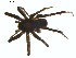 ( - BIOUG01961-F05)  @12 [ ] Copyright  G. Blagoev 2012 Unspecified