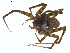  ( - BIOUG01961-F06)  @13 [ ] Copyright  G. Blagoev 2012 Unspecified
