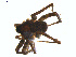  ( - BIOUG01961-F07)  @12 [ ] Copyright  G. Blagoev 2012 Unspecified