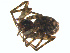  ( - BIOUG01961-F11)  @12 [ ] Copyright  G. Blagoev 2012 Unspecified