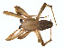  ( - BIOUG01961-H02)  @14 [ ] Copyright  G. Blagoev 2012 Unspecified