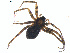  ( - BIOUG01963-D04)  @12 [ ] Copyright  G. Blagoev 2012 Unspecified