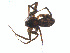  ( - BIOUG01963-E08)  @12 [ ] Copyright  G. Blagoev 2012 Unspecified