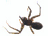  ( - BIOUG01963-E09)  @12 [ ] Copyright  G. Blagoev 2012 Unspecified