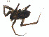  ( - BIOUG01963-E10)  @12 [ ] Copyright  G. Blagoev 2012 Unspecified