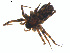  ( - BIOUG01963-E11)  @13 [ ] Copyright  G. Blagoev 2012 Unspecified