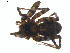  ( - BIOUG01963-F01)  @12 [ ] Copyright  G. Blagoev 2012 Unspecified