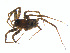  ( - BIOUG01963-F02)  @12 [ ] Copyright  G. Blagoev 2012 Unspecified