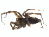  ( - BIOUG01963-F03)  @12 [ ] Copyright  G. Blagoev 2012 Unspecified