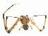  ( - BIOUG01967-C01)  @12 [ ] Copyright  G. Blagoev 2012 Unspecified
