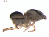  ( - BIOUG01967-C09)  @12 [ ] Copyright  G. Blagoev 2012 Unspecified