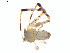  ( - BIOUG01967-D11)  @12 [ ] Copyright  G. Blagoev 2012 Unspecified