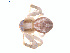  ( - BIOUG01970-A06)  @12 [ ] Copyright  G. Blagoev 2012 Unspecified