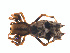  ( - BIOUG01970-D10)  @13 [ ] Copyright  G. Blagoev 2012 Unspecified