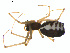  ( - BIOUG01970-E08)  @13 [ ] Copyright  G. Blagoev 2012 Unspecified