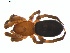  ( - BIOUG01970-E09)  @13 [ ] Copyright  G. Blagoev 2012 Unspecified