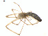  ( - BIOUG01970-E12)  @12 [ ] Copyright  G. Blagoev 2012 Unspecified