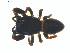  ( - BIOUG01970-F07)  @12 [ ] Copyright  G. Blagoev 2012 Unspecified