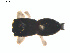  ( - BIOUG01970-G03)  @12 [ ] Copyright  G. Blagoev 2012 Unspecified