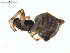  ( - BIOUG01577-A01)  @12 [ ] Copyright  G. Blagoev 2011 Unspecified