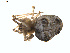  ( - BIOUG01577-C12)  @12 [ ] Copyright  G. Blagoev 2011 Unspecified