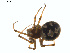  ( - BIOUG01577-E03)  @12 [ ] Copyright  G. Blagoev 2011 Unspecified