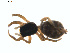  ( - BIOUG01577-E06)  @12 [ ] Copyright  G. Blagoev 2011 Unspecified