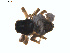  ( - BIOUG01577-E07)  @12 [ ] Copyright  G. Blagoev 2011 Unspecified