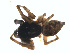  ( - BIOUG01577-F03)  @12 [ ] Copyright  G. Blagoev 2011 Unspecified