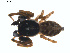  ( - BIOUG01577-F04)  @12 [ ] Copyright  G. Blagoev 2011 Unspecified