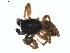  ( - BIOUG01577-F09)  @12 [ ] Copyright  G. Blagoev 2011 Unspecified