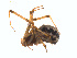  ( - BIOUG01577-G12)  @12 [ ] Copyright  G. Blagoev 2011 Unspecified