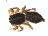  ( - BIOUG01577-H02)  @12 [ ] Copyright  G. Blagoev 2011 Unspecified