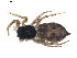  ( - BIOUG01578-A03)  @12 [ ] Copyright  G. Blagoev 2011 Unspecified