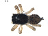  ( - BIOUG01578-A04)  @12 [ ] Copyright  G. Blagoev 2011 Unspecified