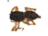  ( - BIOUG01578-A05)  @12 [ ] Copyright  G. Blagoev 2011 Unspecified