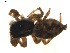  ( - BIOUG01578-A10)  @12 [ ] Copyright  G. Blagoev 2011 Unspecified